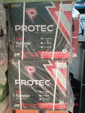 12v220ahms Protec Solar Tubular Battery