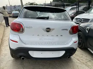 Mini Paceman 1.6 AWD 218hp 2015 White