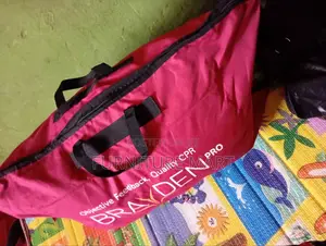 Traveling Bag