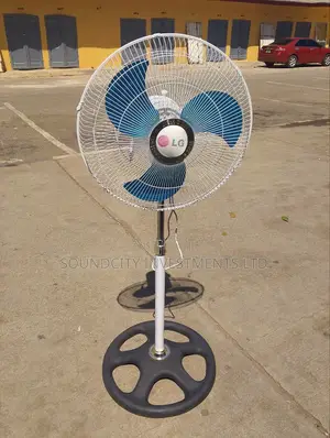 LG Standing Room Fan