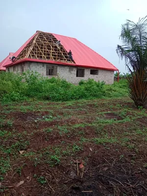 Bright Coloured Red Long Span Roof