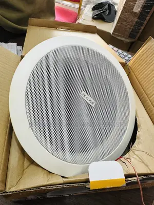 Ceiling/Pop Speakers