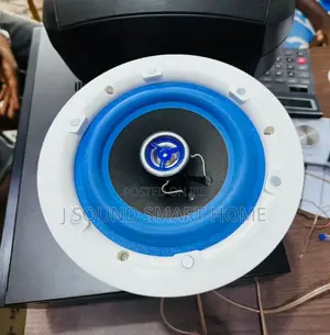Orginal Bose High Quality Ceiling Speakers