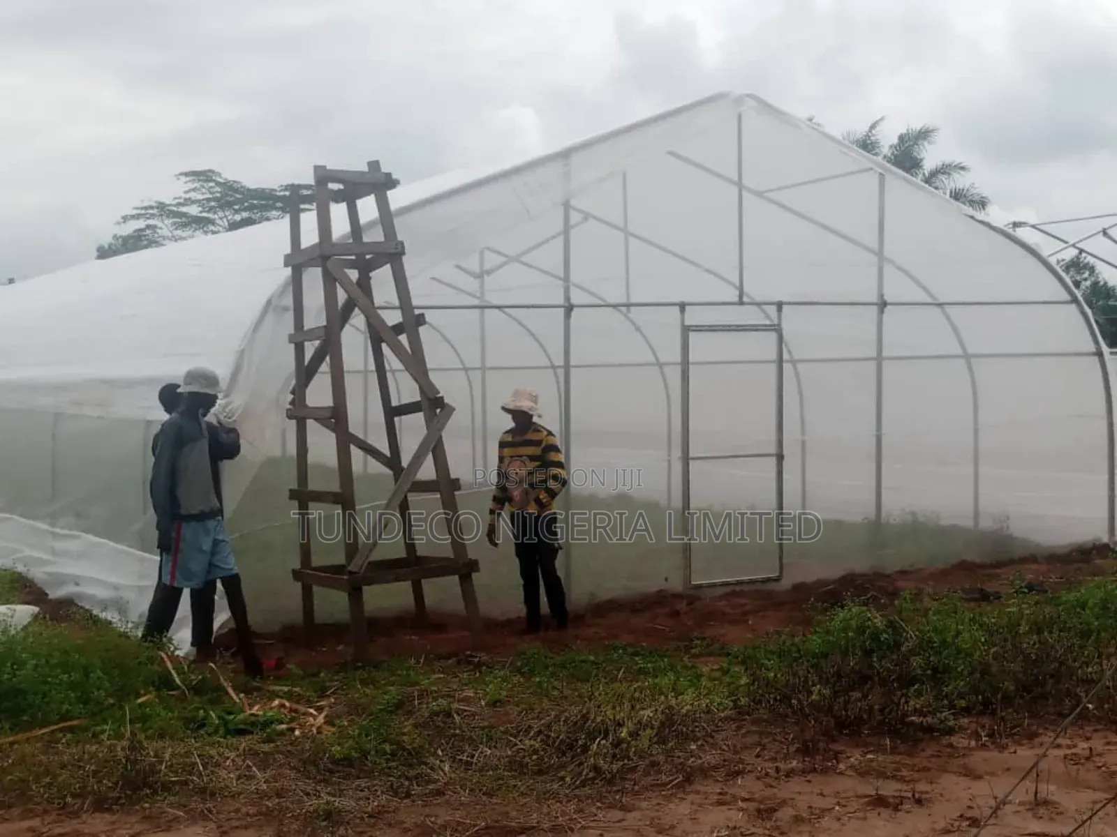 Insect Net 1.5m×45m Uv Treated 50mech