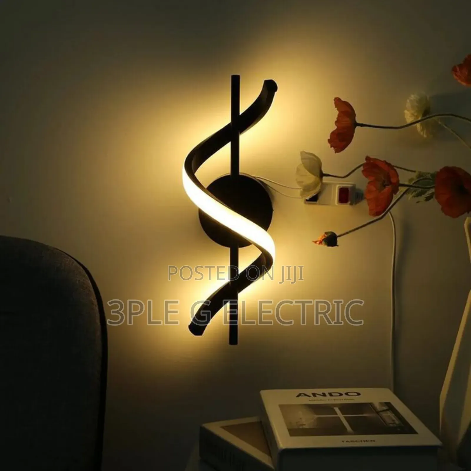 Wall Mounted Light