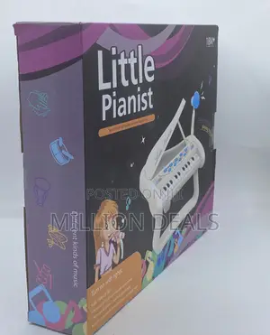 Little Pianist Automatic Kiddies Toy