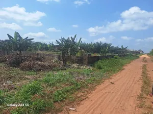 Distress 50x100 at Off Airport Road