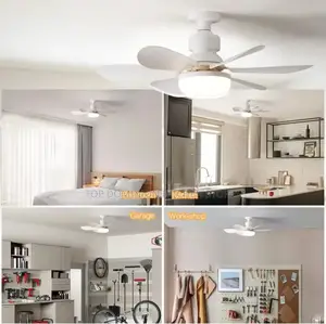 Ceiling Fan