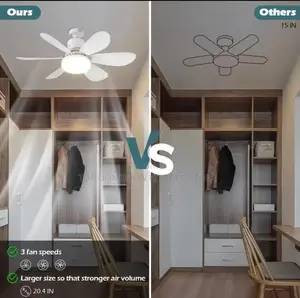 Ceiling Fan