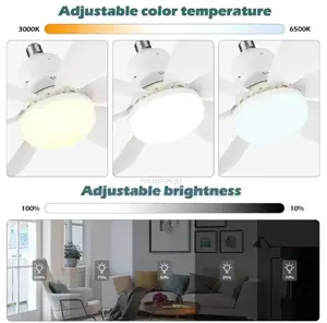 Ceiling Fan