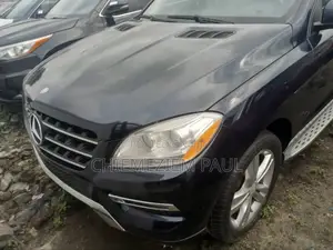 Mercedes-Benz M Class 2015 Black