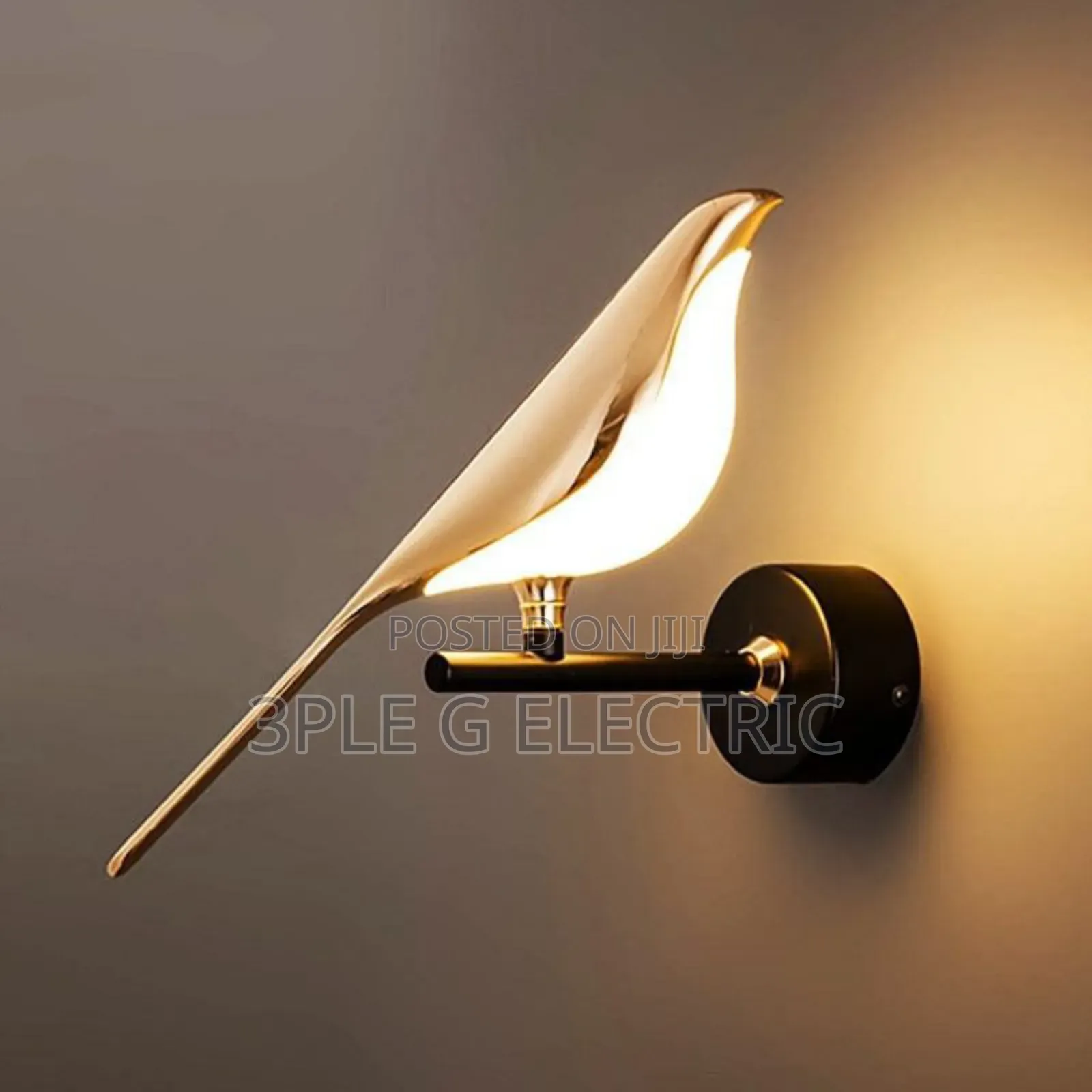 Morden Wall Mounted Light