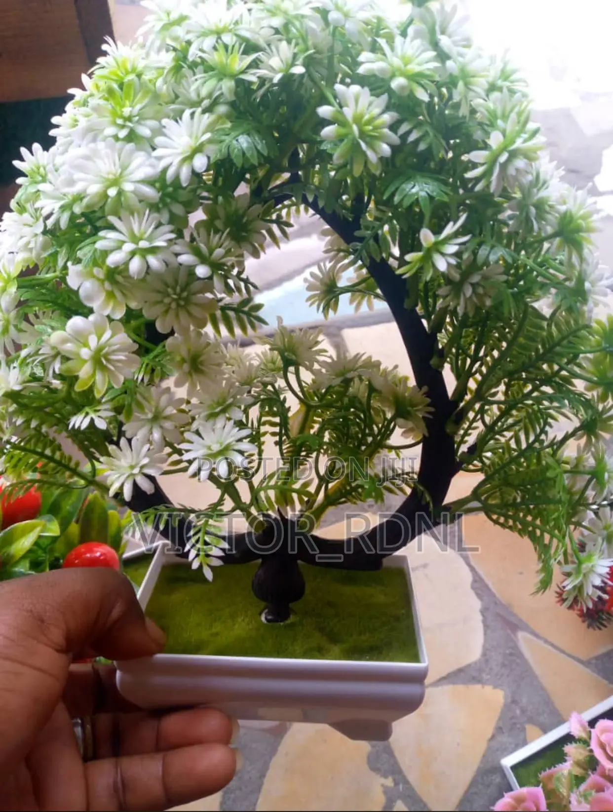 Beautiful Table Flowers 