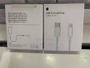 Apple USB C to Lightning Cable 2M