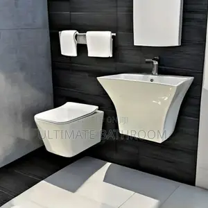 Wall Hung W/C With Suspended Basin