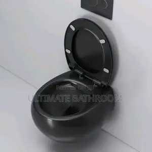 Oval Shape Design Conceal Watercloset
