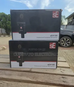 Se Electronics Se4100 Professional Conden Mic