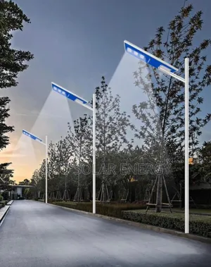 Wakatek Solar Street Light