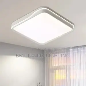 White Ceiling Flush