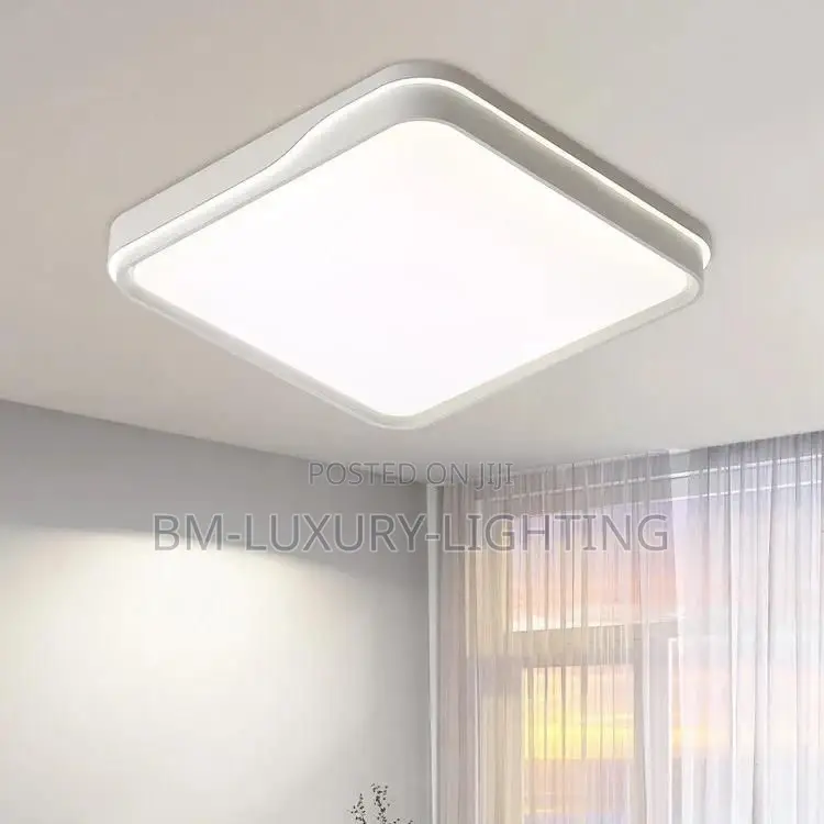 White Ceiling Flush