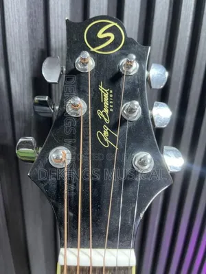 Greg Bennett Acoustic Guitars