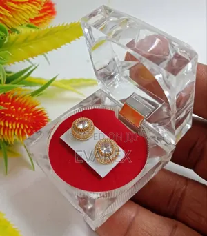 Non Tarnish Pin Men Earrings