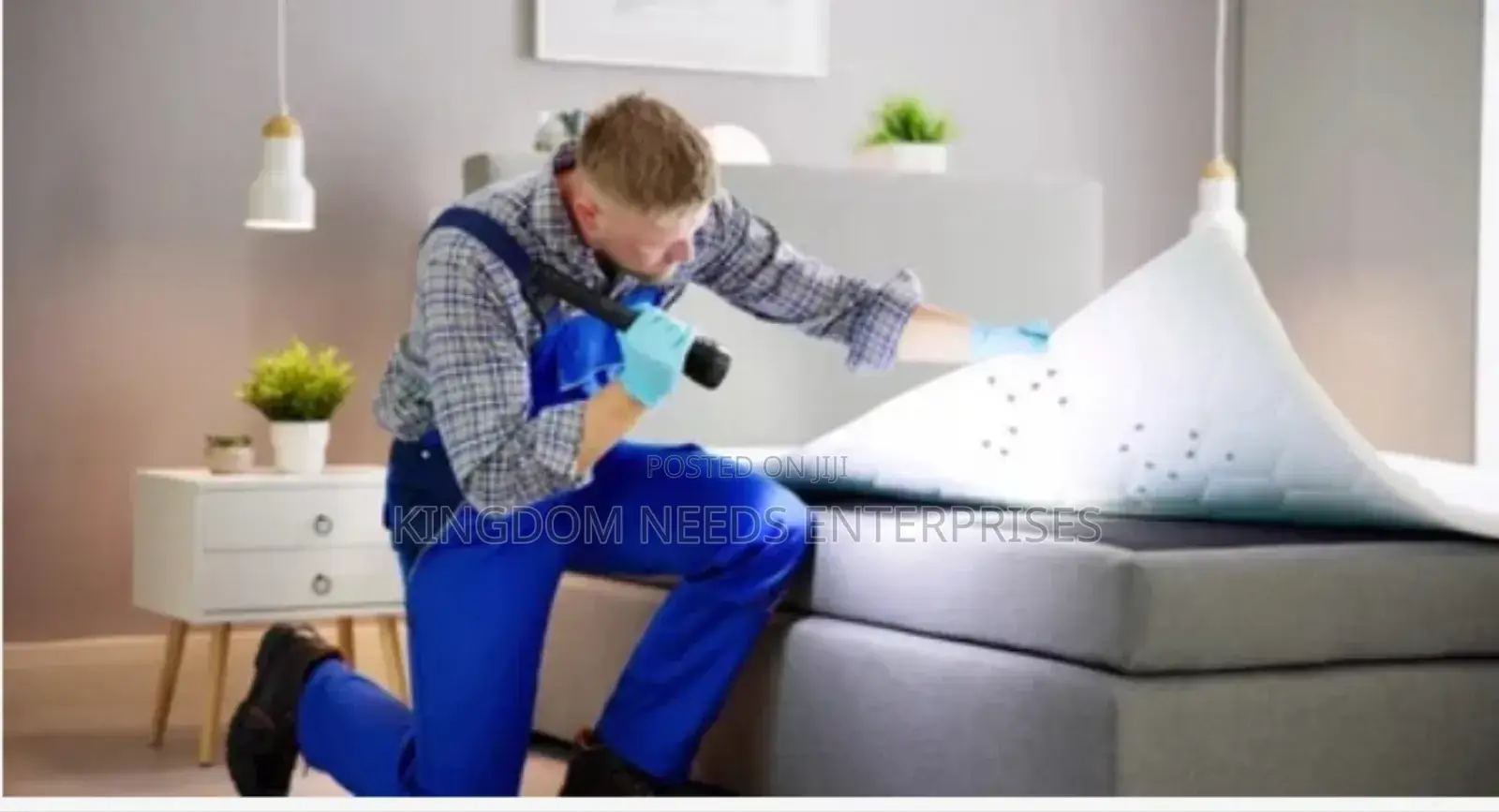 Bedbugs Treatment