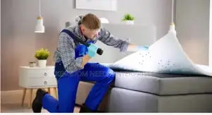 Bedbugs Treatment