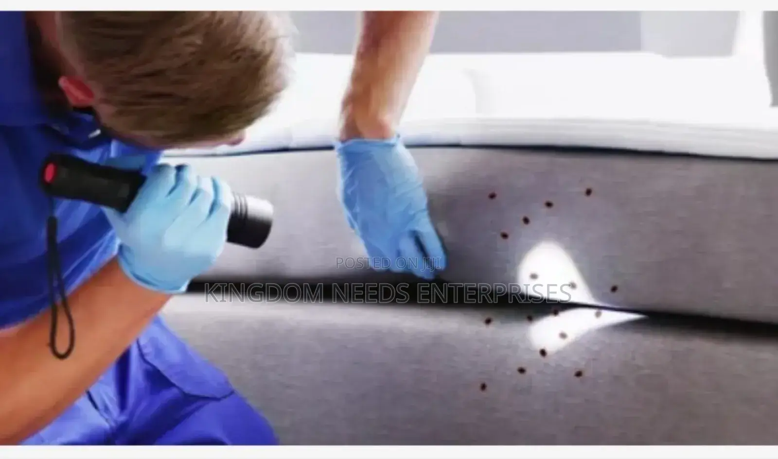 Bedbugs Treatment