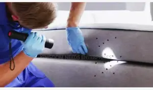 Bedbugs Treatment