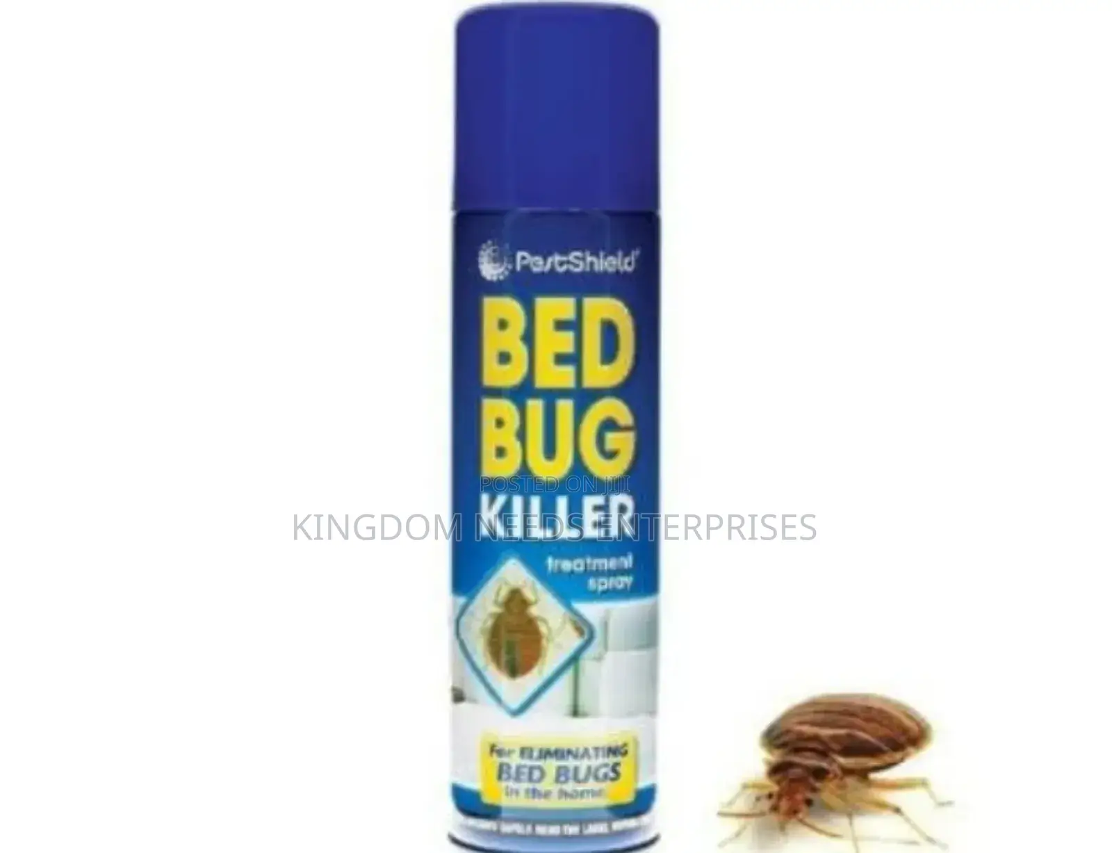 Bedbugs Treatment