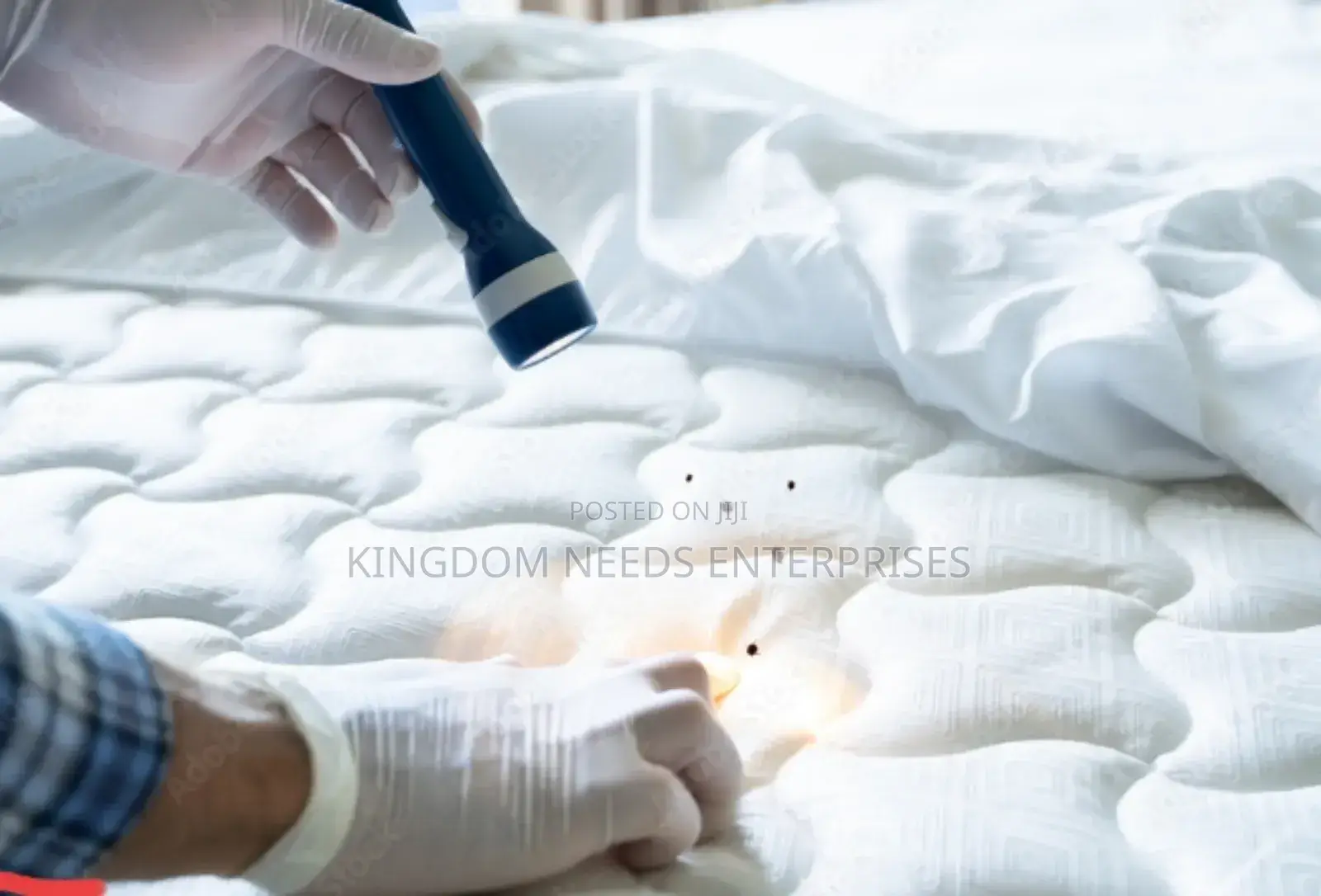 Bedbugs Treatment