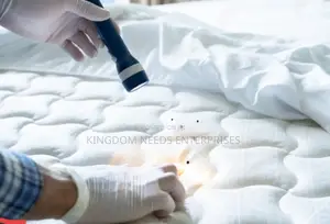 Bedbugs Treatment