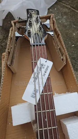 Ibanez Guitar