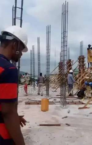 Engr Smart Sule