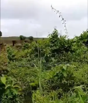 One and Half Plot of Land for Sale