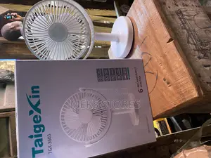 6 Inches Fan