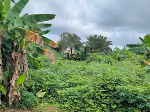 More Than 1plot of Land for Sale