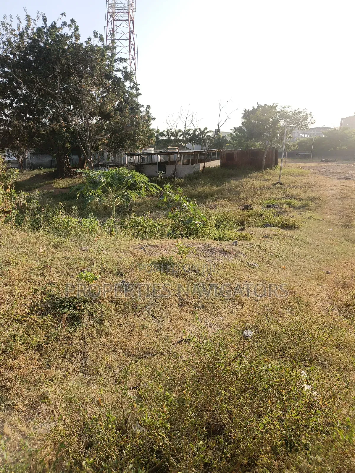 Commercial Plot of Land