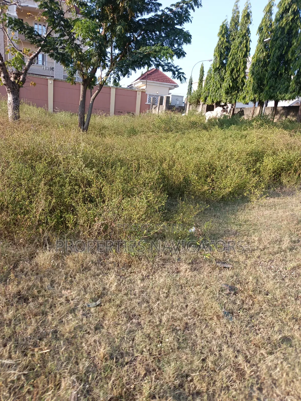 Commercial Plot of Land