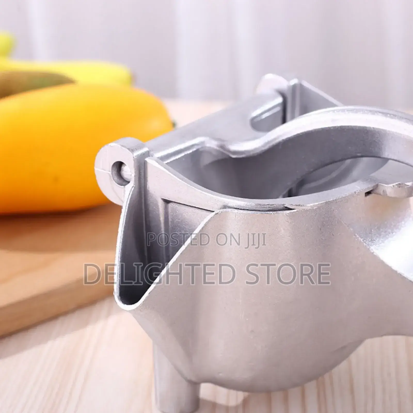 Original Biggest Sized Manual Fruit Press