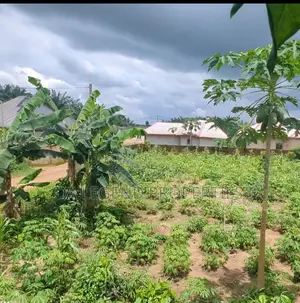 More Than 1 and Half Plot of Land for Sale