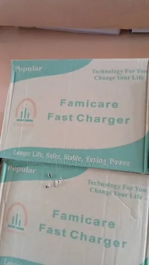 50ah Famicare Battery Charger 48v