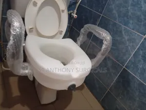Toilet Raised Seat With Guide/Handle