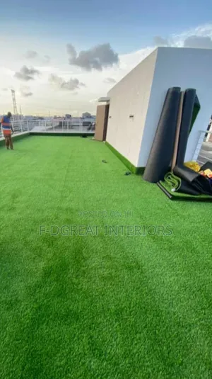 Carpet Grass Turkish Standard