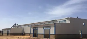 Efficient Warehouse and Factory Construction Expert