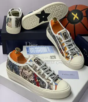 Christian Dior Luxury Shoe