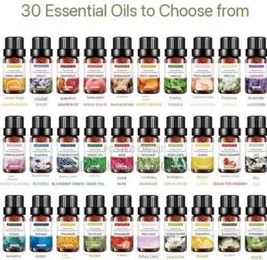 10ml Plant Scented Humidifier Fragrance Oil{Sweet Atmosphere