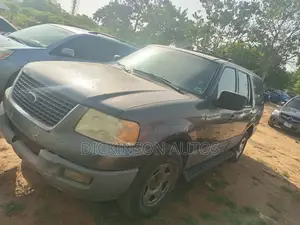 Ford Expedition 2006 Gray