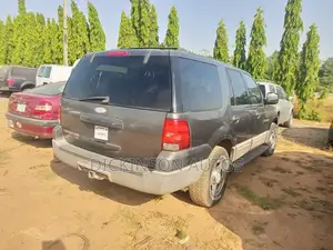 Ford Expedition 2006 Gray